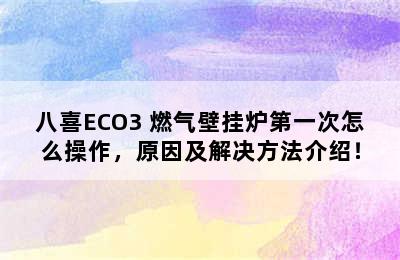 八喜ECO3 燃气壁挂炉第一次怎么操作，原因及解决方法介绍！